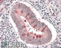 EB07221 3