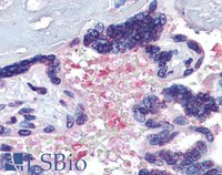 EB08021 3