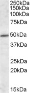 EB09292 1