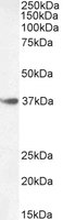 EB12204 2