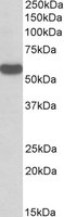 EB10954 2
