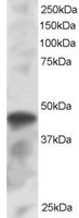 EB05586 1