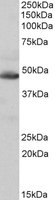 EB10529 1