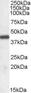 EB07784 1