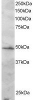 EB05582 1