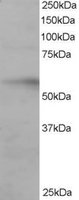 EB05404 1