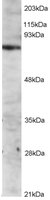 EB05117 1