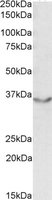 EB09490 1