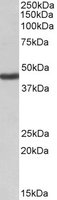 EB09130 1