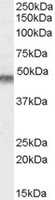 EB07765 2