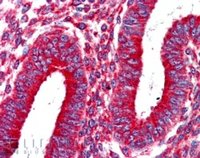 EB05492-T 3