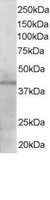EB05400 1