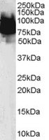 EB05473-T 1