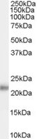 EB07673 1
