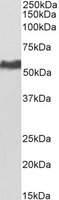EB06233-B 1