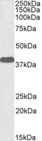 EB08570-B 1