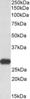 EB07682 1