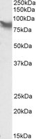 EB09755 1