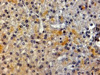 EB06771 2