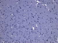 EB06550 3