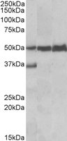 EB09870 2