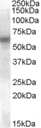 EB08450-T 1