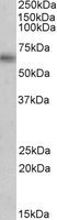EB06984 1