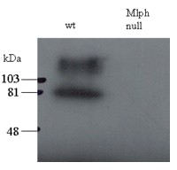 EB05444 1