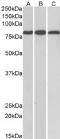 EB05823 1