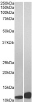 EB06765 2