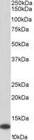 EB06765-B 1