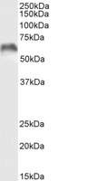 EB11719 2