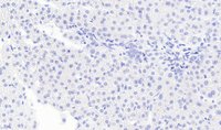 EB08850 3