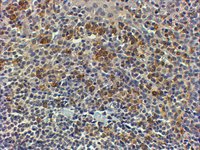 EB06667 2