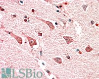 EB10549 1
