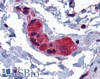 EB06023 3