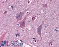 EB06023 4