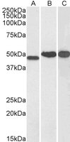 EB05707 1
