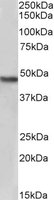 EB05707-B 1