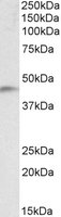EB10793 1