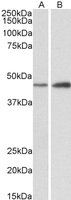 EB10793 2