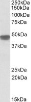 EB10189 1