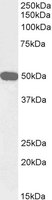 EB06769-B 1