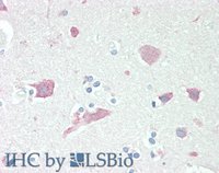 EB06688 2