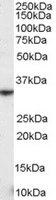 EB06839 1