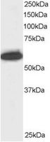 EB05905 1