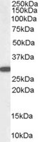 EB05370 4