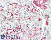 EB05370-T 2