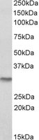 EB10772 1