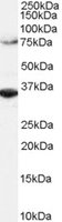 EB05064 1
